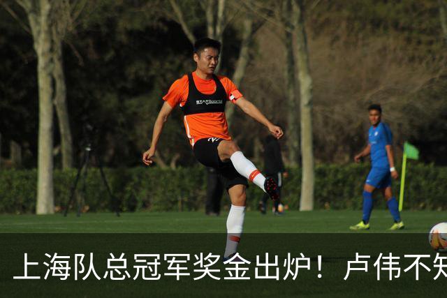 上海队总冠军奖金出炉！卢伟不知道怎么分，张镇麟和王哲林谁多